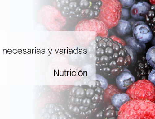 Frutas; necesarias y variadas en Sevilla